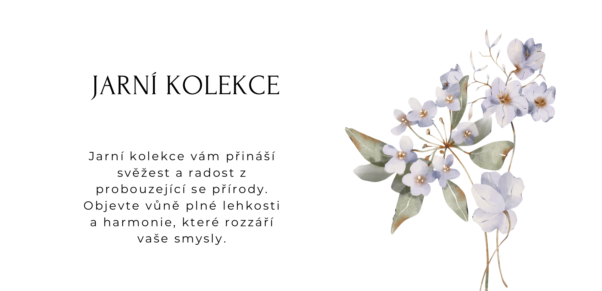 Kopie návrhu Kopie návrhu Kopie návrhu Kopie návrhu Kopie návrhu Kopie návrhu Kopie návrhu Kopie návrhu Grey Professional Company Corporate Presentation (1920 x 930 px)_1